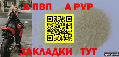 стаф Нальчик