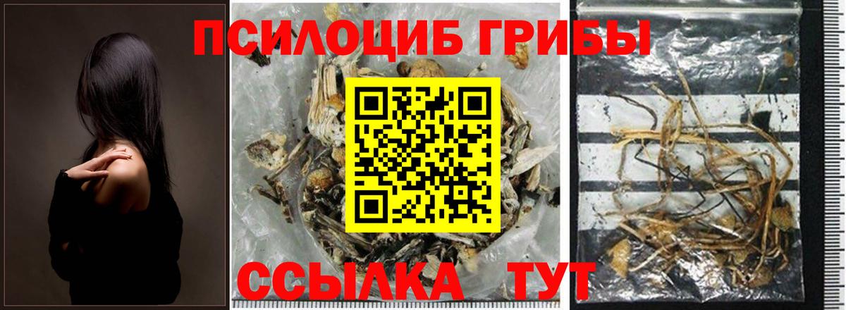 Учалы  Галлюциногенные грибы Magic Shrooms  Вход с VPN 